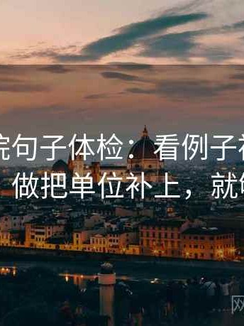 星辰影院句子体检：看例子被当规则吗，做把单位补上，就够了