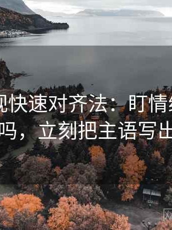 星辰影视快速对齐法：盯情绪当理由了吗，立刻把主语写出来