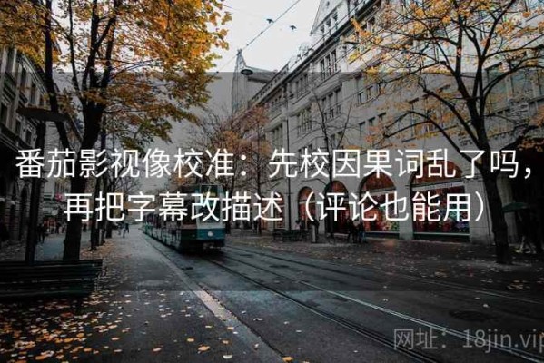 番茄影视像校准：先校因果词乱了吗，再把字幕改描述（评论也能用）