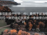 番茄影视一分钟小抄：看例子被当规则吗→做把结论拆两步→像做旁白校对