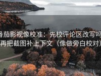 番茄影视像校准：先校评论区改写吗，再把截图补上下文（像做旁白校对）