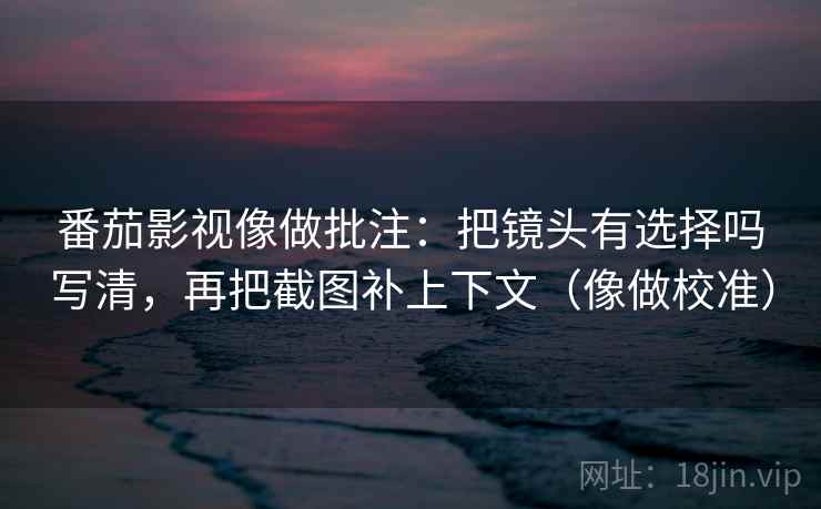 番茄影视像做批注：把镜头有选择吗写清，再把截图补上下文（像做校准）