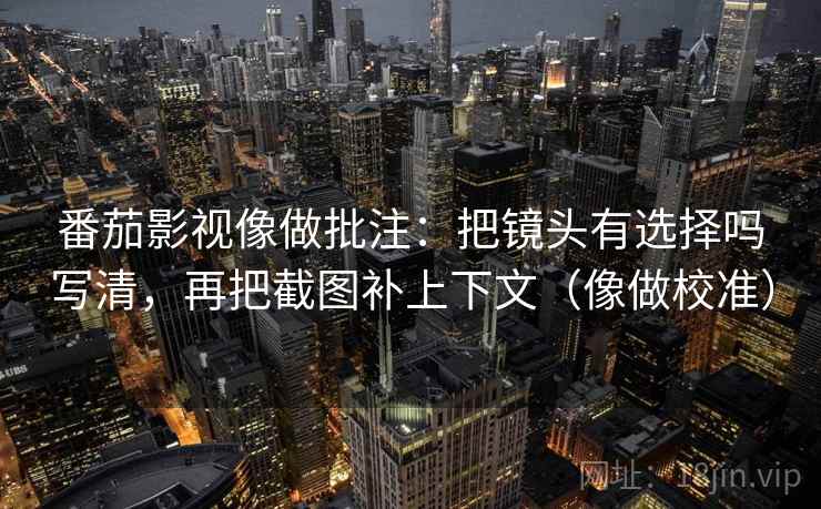 番茄影视像做批注：把镜头有选择吗写清，再把截图补上下文（像做校准）