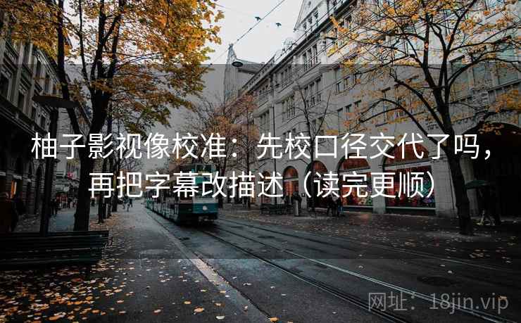 柚子影视像校准：先校口径交代了吗，再把字幕改描述（读完更顺）